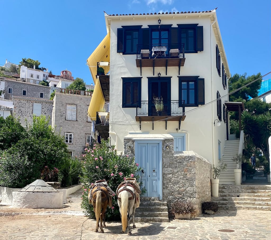 Donkeys outside a classic Greek island home