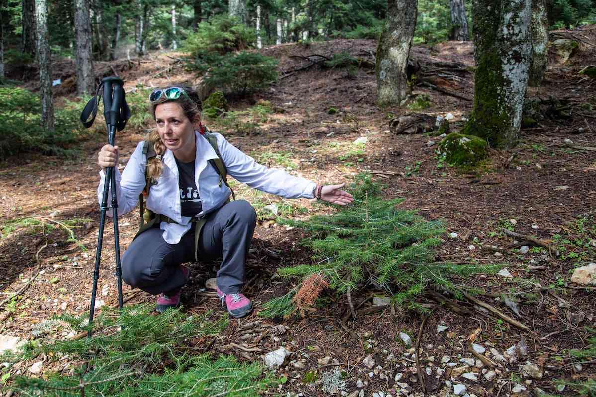 Anna Zika - our Trekking Hellas guide