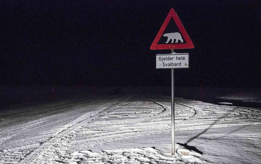 Polar Bear Warning Sign in Svalbard.