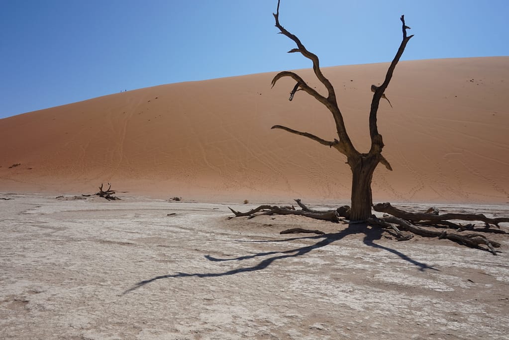 Adventures in Namibia