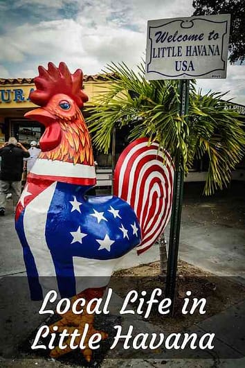 Little Havana Pinterest