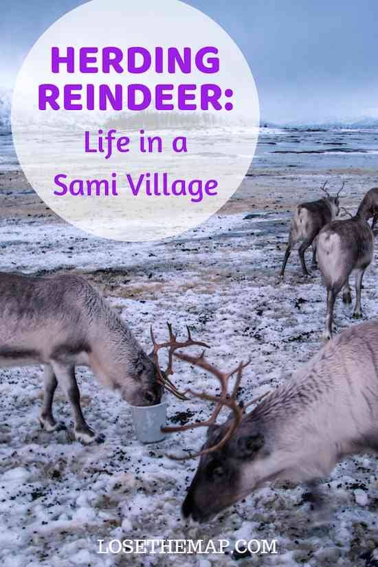 Life in a Sami Village