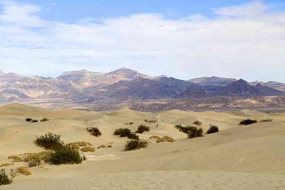 Mesquite Sand Dunes - Death Valley