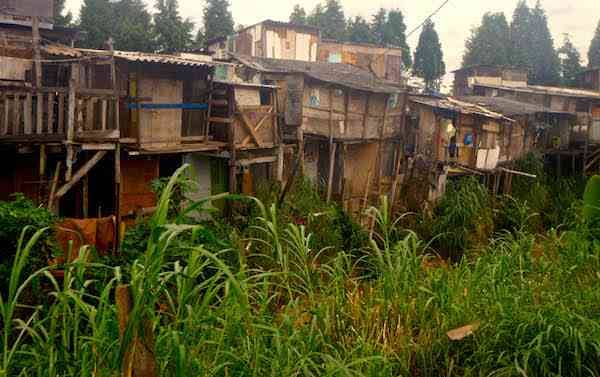 Housing on the outskirts of the favela. These houses are less well-built, indicating higher levels of poverty here.