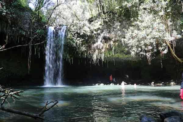 Twin Falls on Road to Hana, Maui