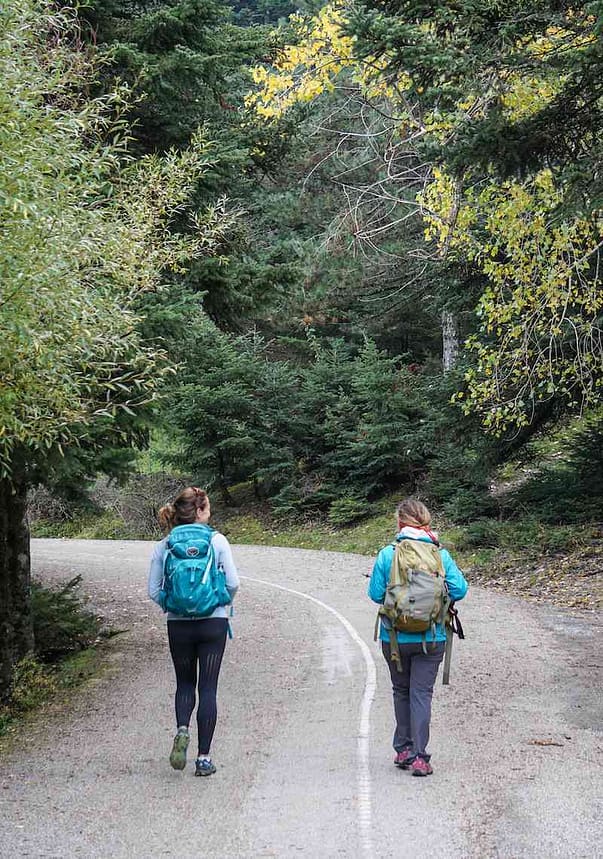 Walking through the woods