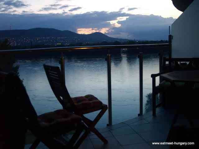 View of the Danube River