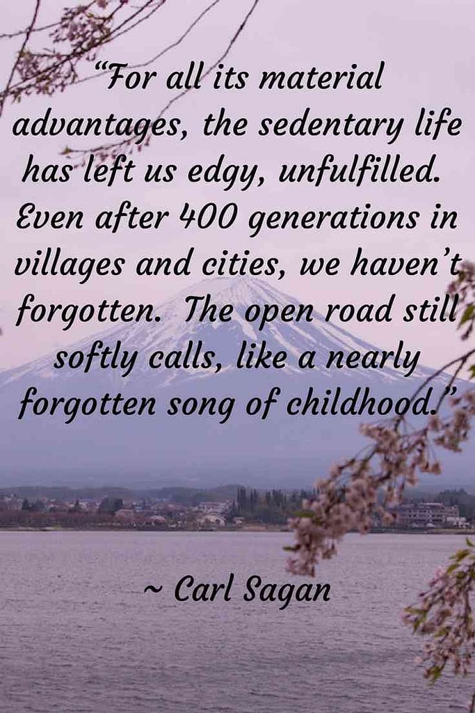 Carl Sagan Travel Quote