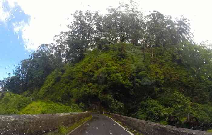 rain on road to hana