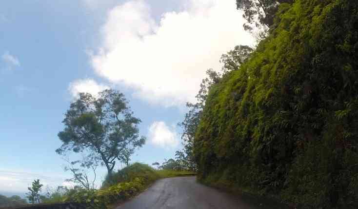 The Road to Hana curves