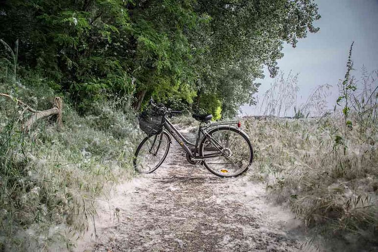 Mantova Bike