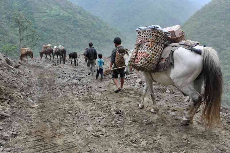 Bhutan Farmer