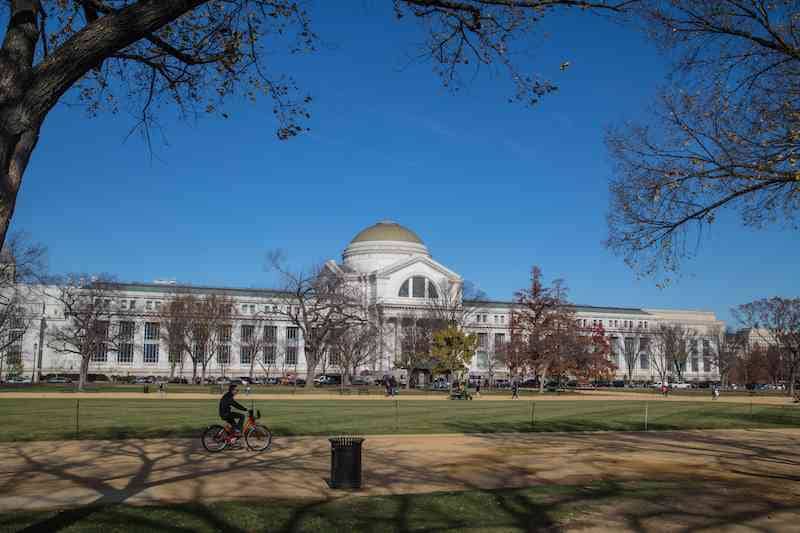 national-mall-day