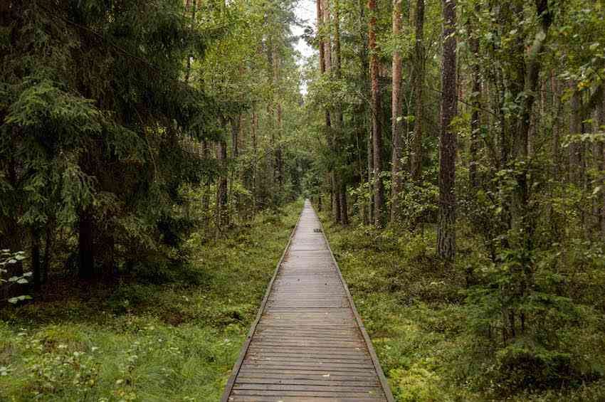 Podlasie off the beaten path