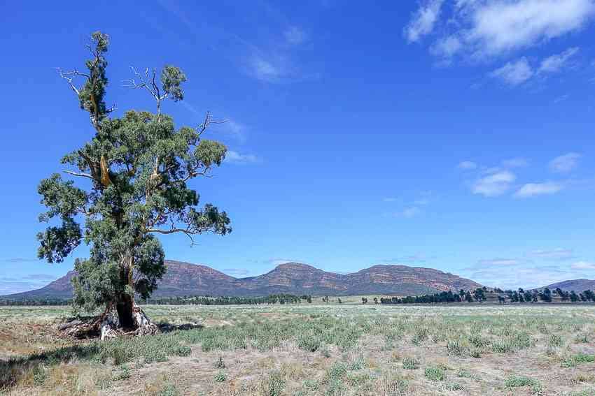 Explore Flinders Ranges in Australia